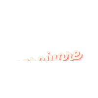 Keto Carnivore Sticker