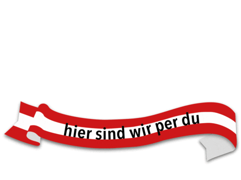 tenne_schladming giphyupload Sticker