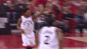 Toronto Raptors Basketball GIF by NBA