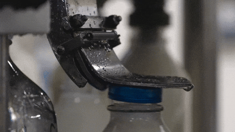 sydisenbergD7 giphyupload GIF