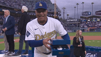 Los Angeles Dodgers Sport GIF by MLB