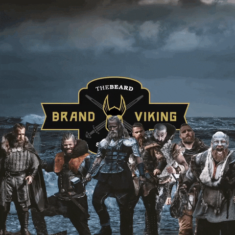 TheBeardStruggle brand beard viking tbs GIF