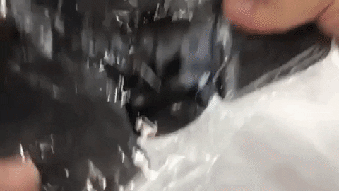 armageddonsports giphygifmaker GIF