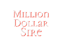 Stallion Reining Sticker by Silver Spurs Equine