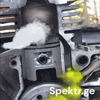 Georgia Brush GIF by Spektr