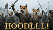Hold GIF by DogeGF