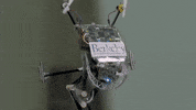 uc berkeley robot GIF by Cal