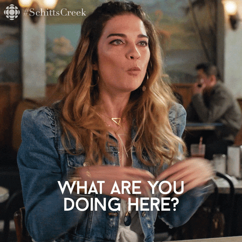 Why Are You Here Schitts Creek GIF by CBC