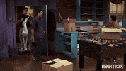 Friends Lol GIF by HBO Max