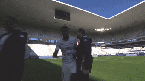 Football Soccer GIF by Ligue 1
