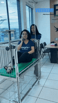 Prevtech bianca atendimento prevtech geovana GIF