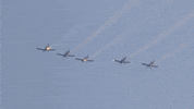 Stock Car Racing Sport GIF by NASCAR