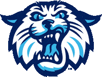 Wildcat Villanovau Sticker by Villanova University
