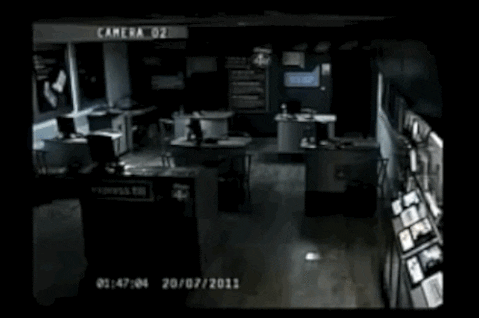 caught on camera GIF