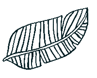Fellows Sticker by Sseko Designs