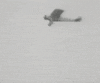 flying charles lindbergh GIF by Timeline