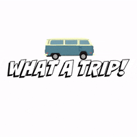 thesobercurator thesobercurator sobercurator whatatrip sobertravel GIF
