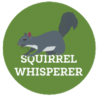 Squirrel Sticker by Macalester College