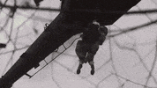 Army Guard GIF by NationalGuard