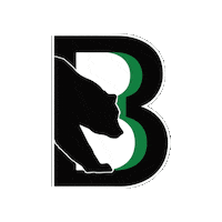 Black Bears Sticker by Binghamton Black Bears