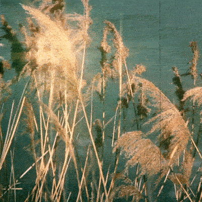 Art Design GIF
