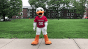 FollowStevens yes yeah thumbs up good job GIF