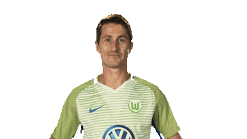 happy vfl wolfsburg Sticker by Bundesliga