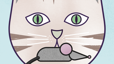 Cat Mouse GIF by brnrd