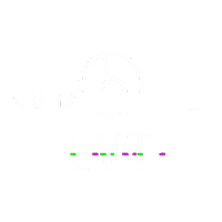 grupolvt lvtglitch Sticker by LVT