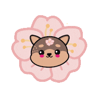 K Pop Spring Sticker by Nolae