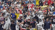 Nfl Football Celebration GIF by New England Patriots