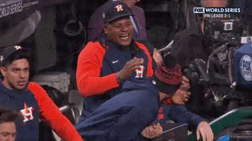 World Series Lol GIF by MLB