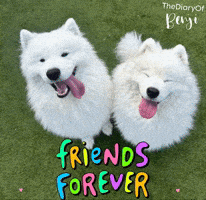 Friends Smiling GIF