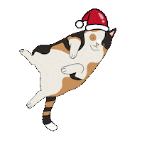 Christmas Santa Sticker