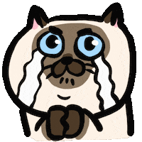 Siamese Cat Please Sticker by ehcat