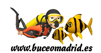 Scuba Diver Sticker by Buceo Madrid