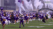 College Football GIF by Northwestern Athletics