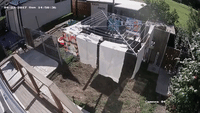 CCTV Catches Naughty Dog Snatching Clothes From Washing Line