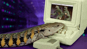 Internet Computer GIF