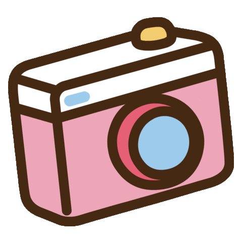 picture photo Sticker by Pusheen