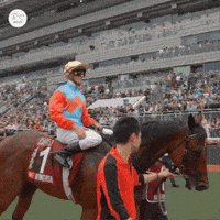 Hong Kong Hk GIF by World Horse Racing