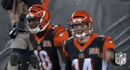 Cincinnati Bengals Football GIF by NFL