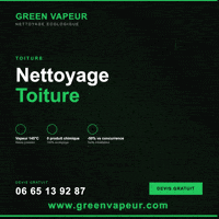 Greenvapeur nettoyage terrasse nettoyage toiture nettoyage mur greenvapeur GIF