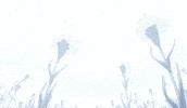 tokyo ghoul GIF