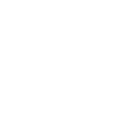 Gye Vivaguayaquil Sticker by LEMON