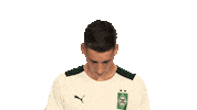 Happy Borussia Moenchengladbach Sticker by Bundesliga