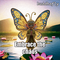 Water Peace GIF by BuddhaFlyJourney