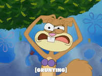 season 5 episode 10 GIF by SpongeBob SquarePants