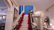 elvis presley countdown to christmas GIF by Hallmark Channel