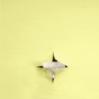 Smash Car Care GIF by Chemical Guys